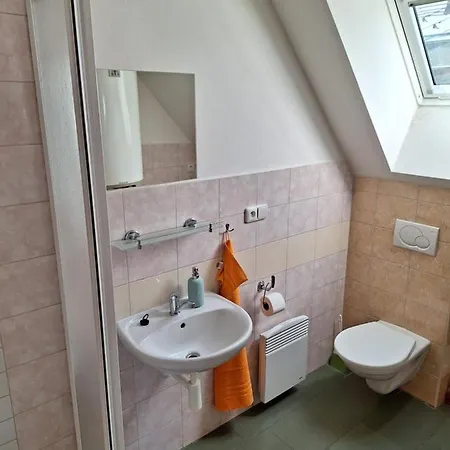 Gasthof U Vorlíčků Jablonné nad Orlicí