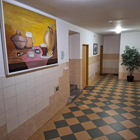 Πανσιόν U Vorlicku 3*