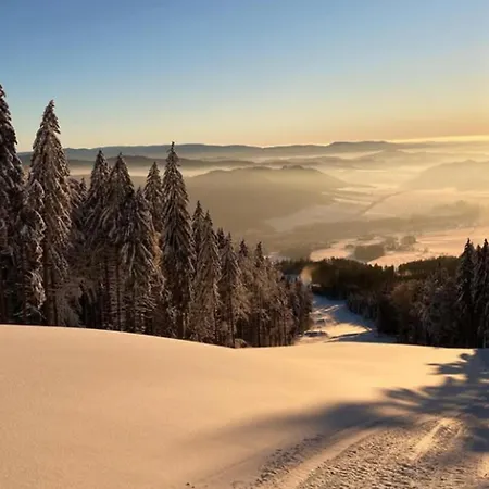 U Vorlicku Πανσιόν 3*